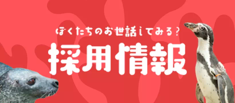 ぼくたちのお世話してみる？採用情報