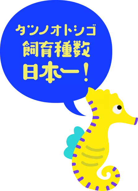 タツノオトシゴ飼育種数日本一！