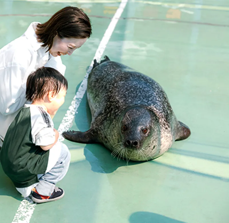 出会えたらラッキー ！！自由気ままに広場でゴロゴロ
