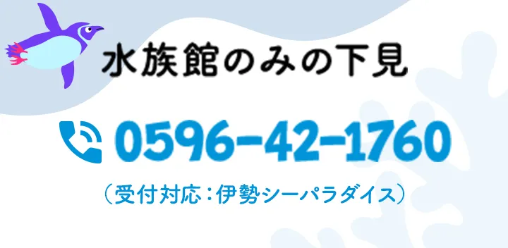水族館のみの下見0596-42-1760