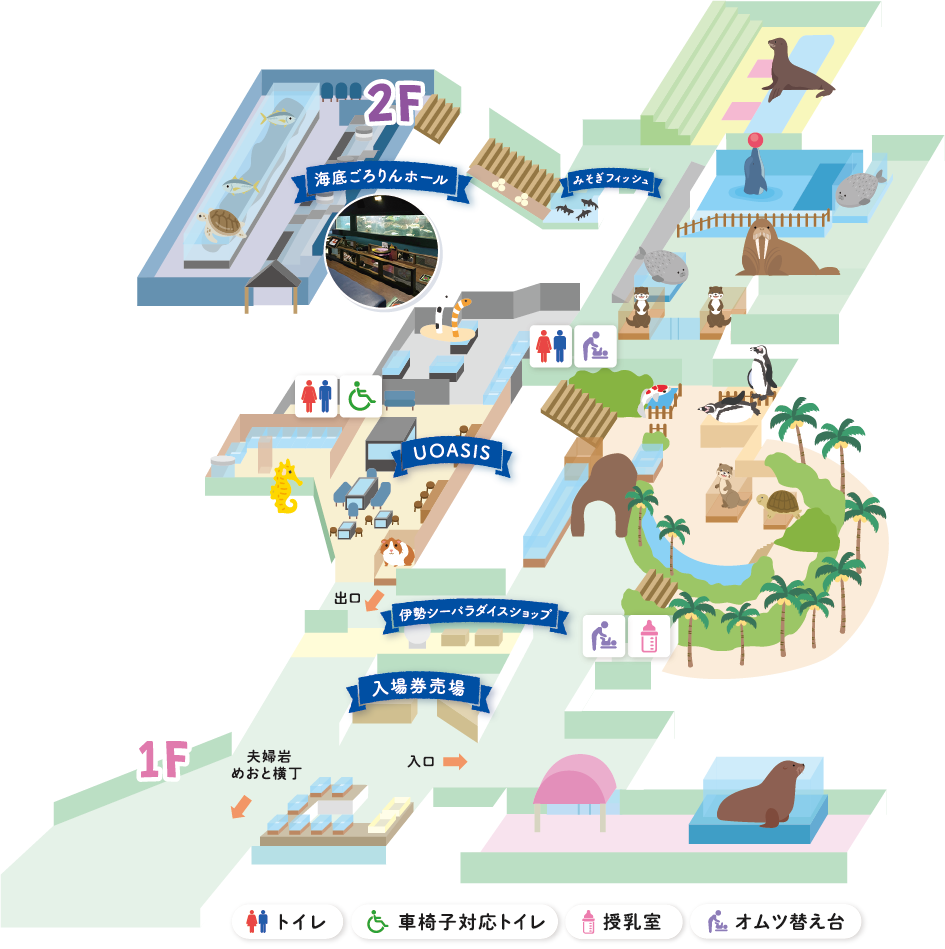 5つのエリアで暮らす海獣たちに会いに行こう！