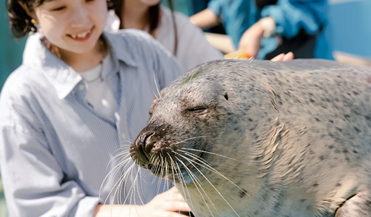 伊勢シーパラダイス