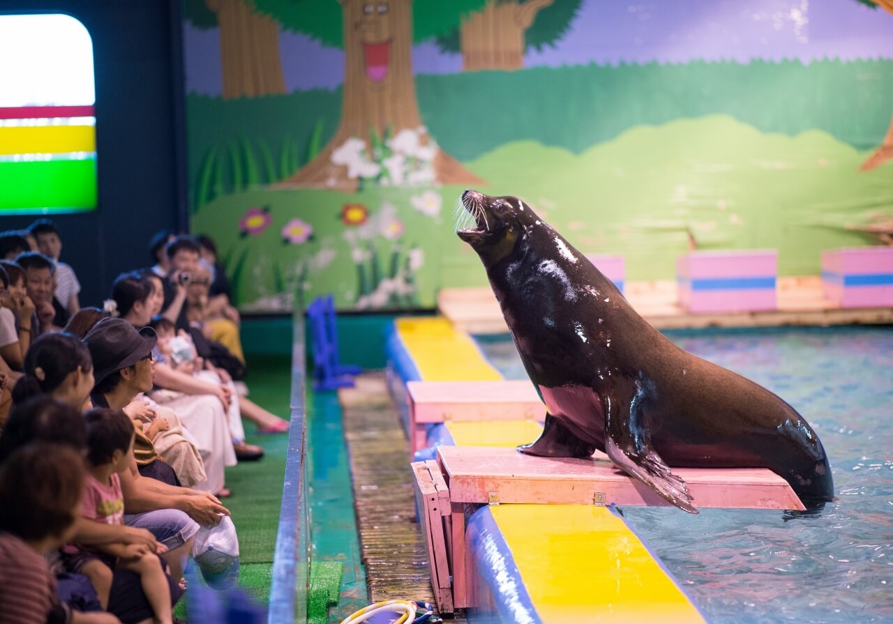 スケジュール 伊勢夫婦岩ふれあい水族館 伊勢シーパラダイス Ise Sea Paradise