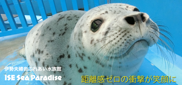 伊勢夫婦岩ふれあい水族館 伊勢シーパラダイス Ise Sea Paradise