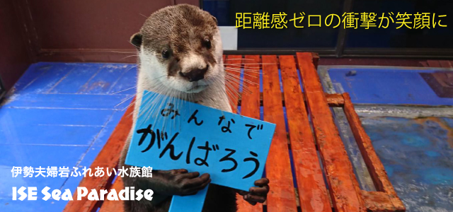 伊勢夫婦岩ふれあい水族館 伊勢シーパラダイス Ise Sea Paradise