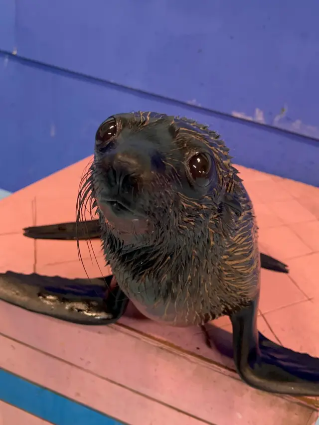 伊勢シーパラダイス(シーパラ)｜三重県伊勢市のゼロ距離水族館
